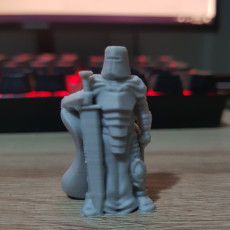 Picture of print of Knight w/Greatsword (28mm/Heroic scale)