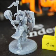 Picture of print of Overwatch - Brigitte - 30 cm Model. This print has been uploaded by TD3D