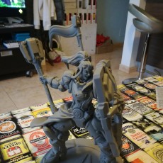 Picture of print of Overwatch - Brigitte - 30 cm Model. This print has been uploaded by Sergio Gomez Rodriguez