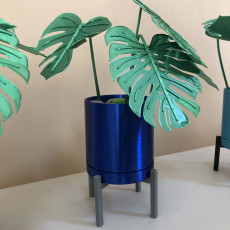 Picture of print of Mini Monsteras & Planter This print has been uploaded by Madison Greco