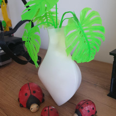 Picture of print of Mini Monsteras & Planter