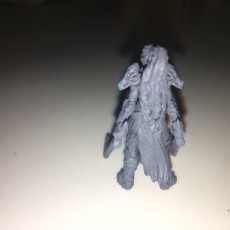 Picture of print of Two Blade - Female Orc Commander - PRE SUPPORTED - 32 mm scale miniature This print has been uploaded by Nick Williams
