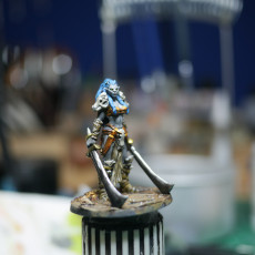 Picture of print of Two Blade - Female Orc Commander - PRE SUPPORTED - 32 mm scale miniature This print has been uploaded by Matt