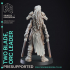 Two Blade - Female Orc Commander - PRE SUPPORTED - 32 mm scale miniature image