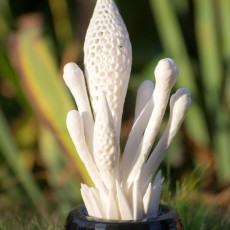 Picture of print of Alien Garden // Plant 5 This print has been uploaded by Dmitriy Evdokimov