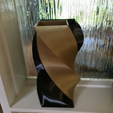 Picture of print of Dual Twist Vase This print has been uploaded by Gethin Stevens