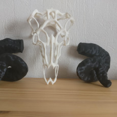 Picture of print of Wired Ram Skull This print has been uploaded by Emile Schollier