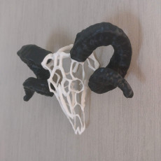 Picture of print of Wired Ram Skull This print has been uploaded by Emile Schollier