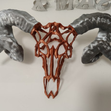 Picture of print of Wired Ram Skull This print has been uploaded by my name2