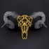 Wired Ram Skull image