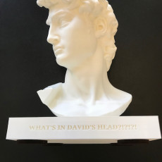 Picture of print of What's in David's Mind? This print has been uploaded by David A Shorin