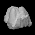 Mastodon Obscurus Molar image