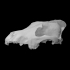 Wolf Skull image