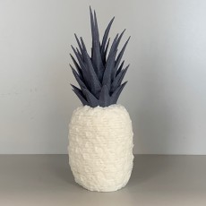 Picture of print of Pineapple Springo (Half Size) This print has been uploaded by Philippe Barreaud