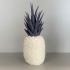Pineapple Springo (Half Size) print image