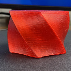 Picture of print of Vase Mode Hex Twist Box