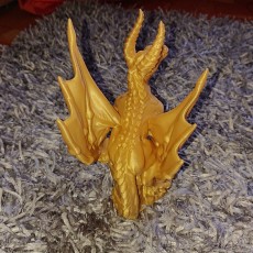 Picture of print of NEW - Wyvern - 32mm scale miniature - Large Monster This print has been uploaded by Philip Bräu