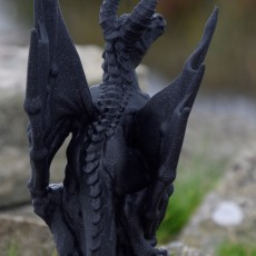 Picture of print of NEW - Wyvern - 32mm scale miniature - Large Monster This print has been uploaded by Dafydd Brown