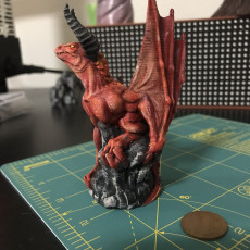 Picture of print of NEW - Wyvern - 32mm scale miniature - Large Monster