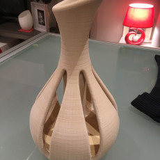 Picture of print of Zephyr Vase