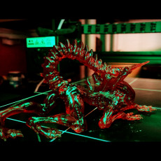 Picture of print of Alien - Xenomorph - Full Figure - 25 CM