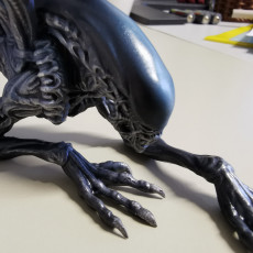 Picture of print of Alien - Xenomorph - Full Figure - 25 CM