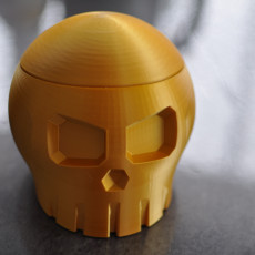 Picture of print of Skull Box with Cranial Lid This print has been uploaded by Matthieu