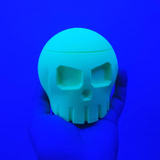 Picture of print of Skull Box with Cranial Lid This print has been uploaded by samster 3d