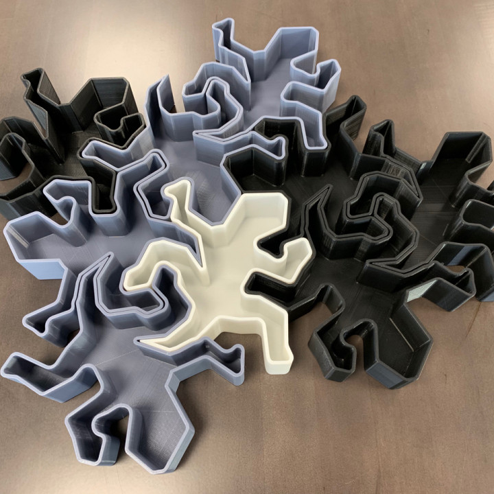 Escher Style Lizard 3D Printed Plastic Choice of Sizes 