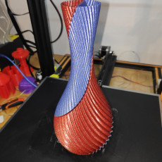 Picture of print of Spiral Twin Vase This print has been uploaded by Richard R.
