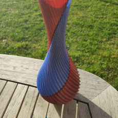Picture of print of Spiral Twin Vase This print has been uploaded by Richard R.