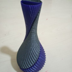 Picture of print of Spiral Twin Vase This print has been uploaded by Neil van der Merwe