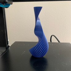Picture of print of Spiral Twin Vase This print has been uploaded by Sabrina Russell