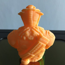 Picture of print of Bloodhound-Bust from "Apex Legends" (Support Free Model) This print has been uploaded by Meu3D com