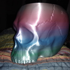 Picture of print of Grim Skull Vase This print has been uploaded by Chris Hitchabout