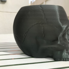 Picture of print of Grim Skull Vase This print has been uploaded by Juan De Dios Bonmati