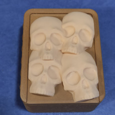 Picture of print of Skull Slide Top Box