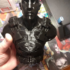 Picture of print of Punisher - Frank Castle / Support Free Bust This print has been uploaded by Jeff