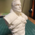 Geralt of Rivia from "The Witcher" / Support free bust print image