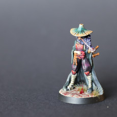 Picture of print of Hannya & Familar - Lesser Demon - Hell HAth No Fury - 32mm Scale  (Pre-supported)