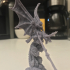 Dragon Rider - Large Dragon - PRESUPPORTED - Hell Hath No Fury - 32mm Scale print image