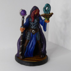 Picture of print of Sorcerer - Human Magic User - Hell Hath No Fury - 32mm Scale (Pre-supported) This print has been uploaded by Lailani