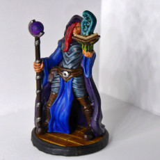 Picture of print of Sorcerer - Human Magic User - Hell Hath No Fury - 32mm Scale (Pre-supported)
