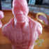 Samuel Jackson as Nick Fury (support free bust) print image