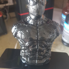 Picture of print of Spiderman Noir / Night Monkey (support free bust)