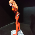 Asuka - Neon Gensis Evangellion - 30 cm model print image