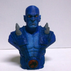Picture of print of Panthro from "Thundercats" (support free bust)