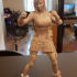 Tifa Lockhart - Combat Stance - Final Fantasy 7 Remake - 32cm model* print image