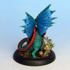 Picture of print of Fairy Dragon