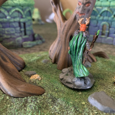 Picture of print of Archfey